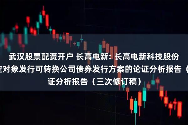 武汉股票配资开户 长高电新: 长高电新科技股份公司向不特定对象发行可转换公司债券发行方案的论证分析报告（三次修订稿）