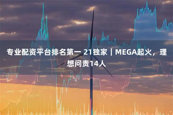 专业配资平台排名第一 21独家｜MEGA起火，理想问责14人