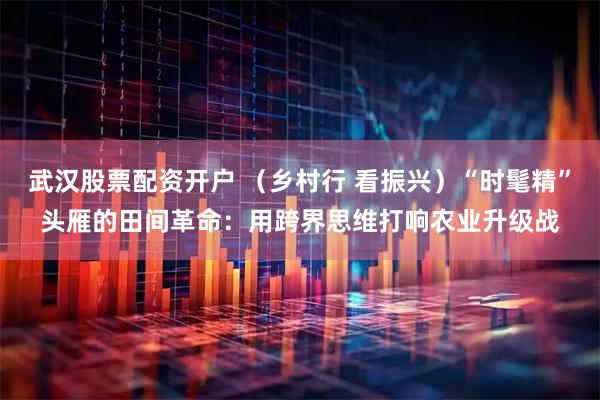 武汉股票配资开户 （乡村行 看振兴）“时髦精”头雁的田间革命：用跨界思维打响农业升级战