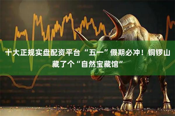 十大正规实盘配资平台 “五一”假期必冲！铜锣山藏了个“自然宝藏馆”