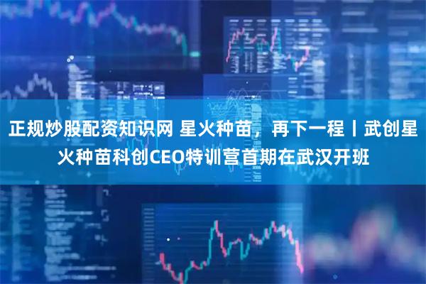 正规炒股配资知识网 星火种苗，再下一程丨武创星火种苗科创CEO特训营首期在武汉开班